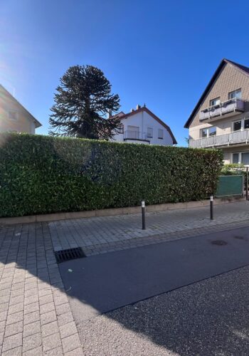 15752baa-da63-48f7-a07d-8deb02b15032